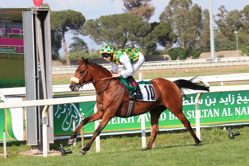 Ziyadd wins Listed Zayed Cup at Capanelle Race Course